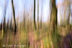 DSC_1515- Website