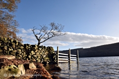 DSC_1520- Website