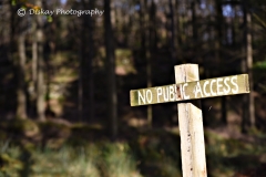 DSC_1538- Website