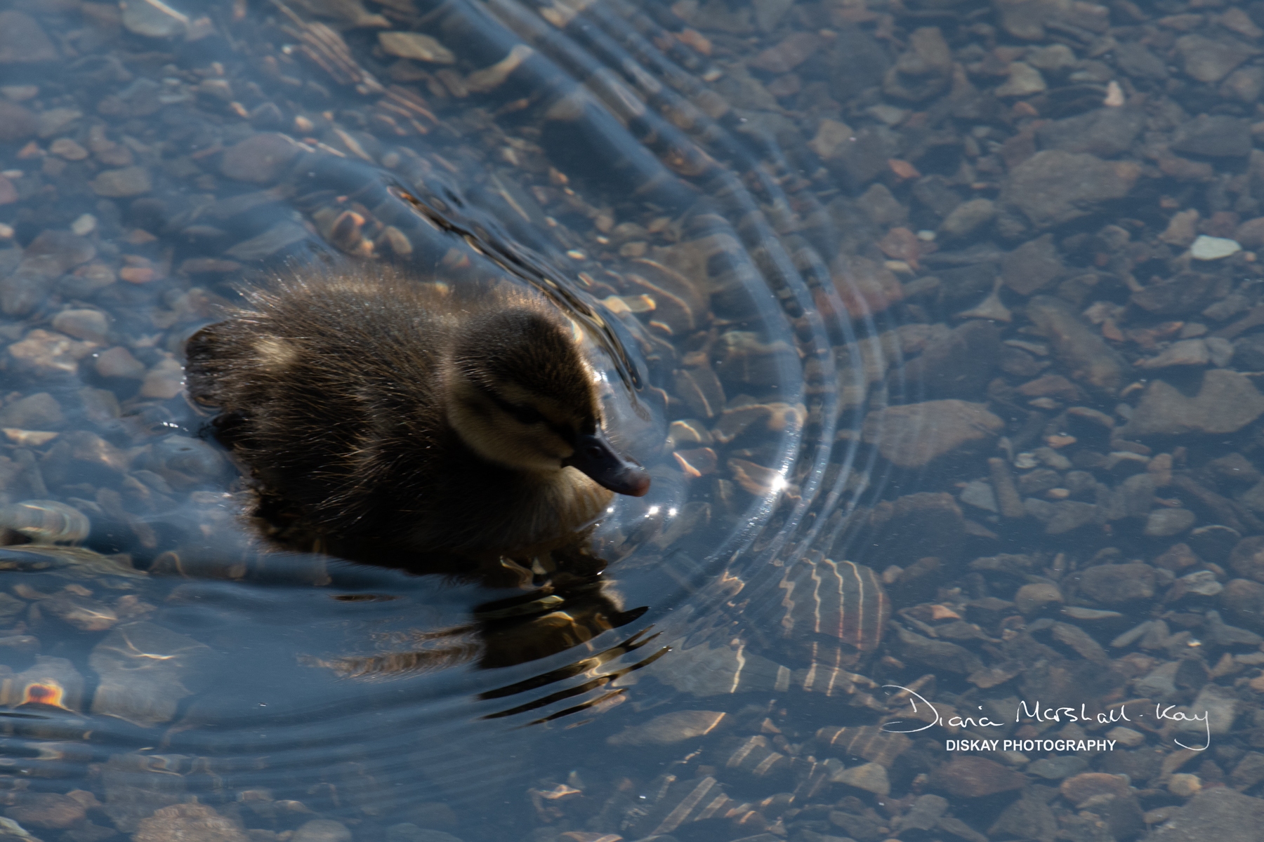 DSC_0892-Website