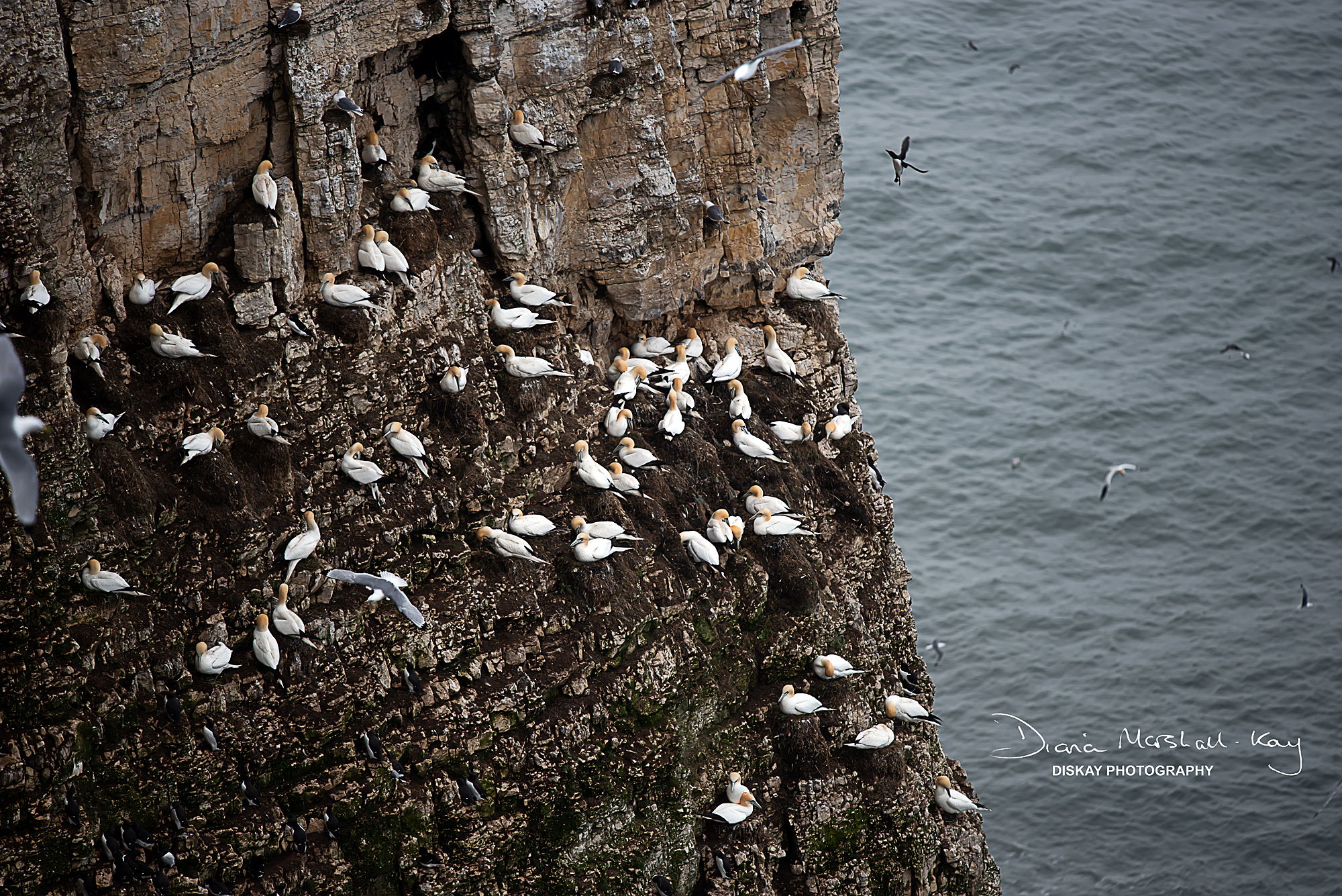 1_DSC_5650-Edited-Website