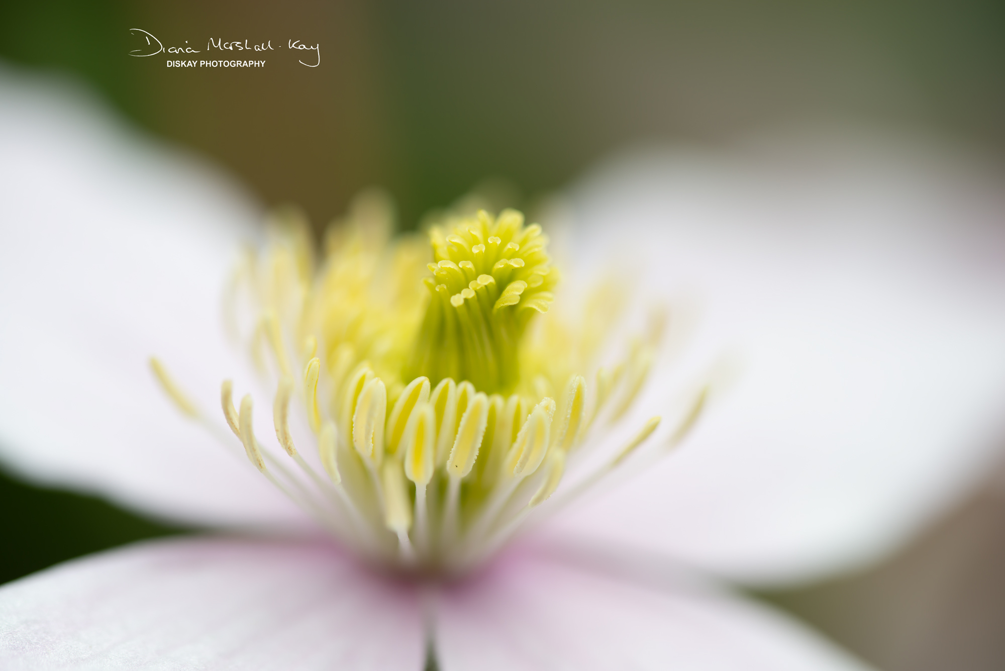 DSC_3402-Edited-Website