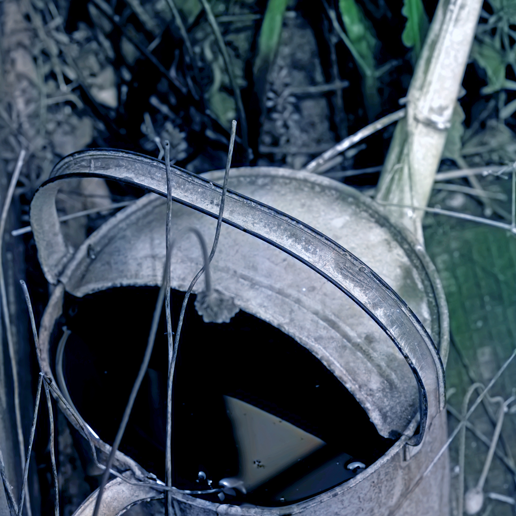 DSC_3432-Edited-Website