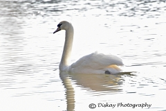 DSC_1899-Website
