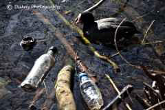 DSC_1913-Website