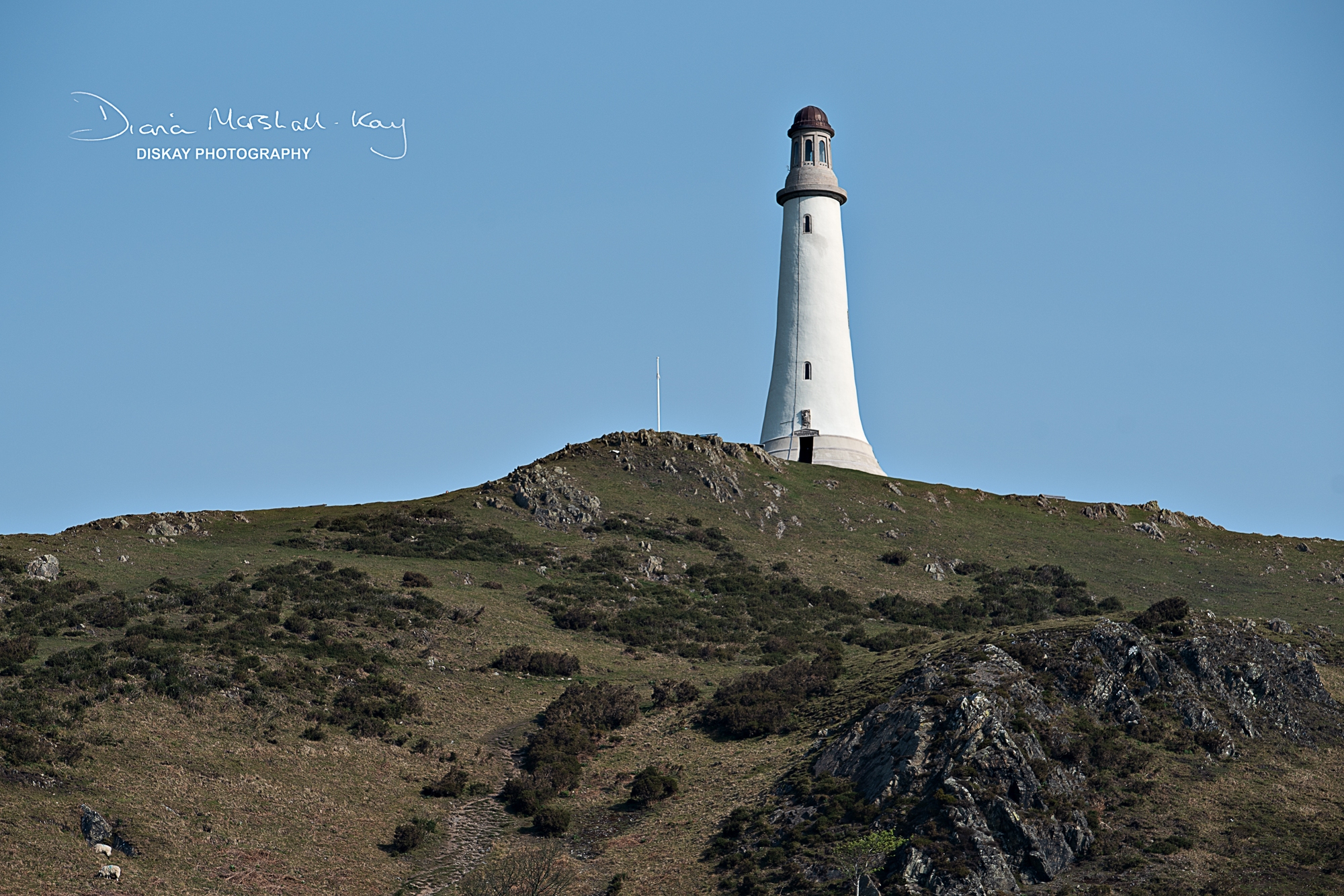 DSC_4585-Website