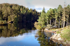 1000552-Levels- Website
