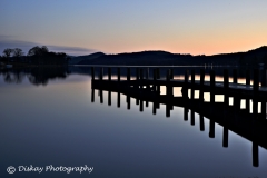 _DSC1960-Website