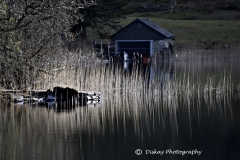 _DSC2037-Website