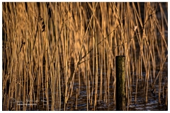 _DSC3183-The Last Post-Website