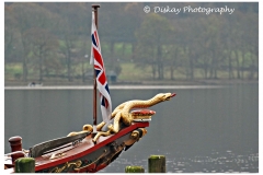 DSC_0210-Website