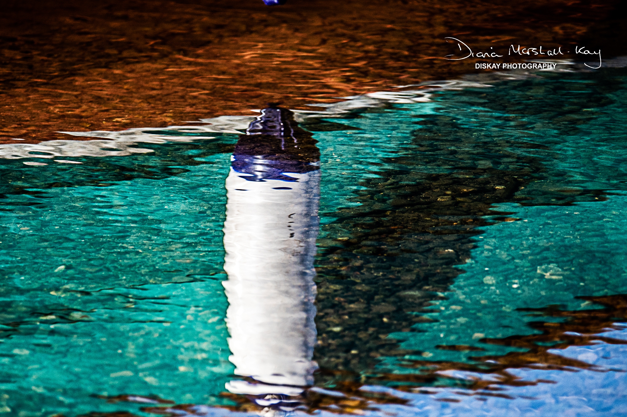 DSC_0927-Version2-Website-