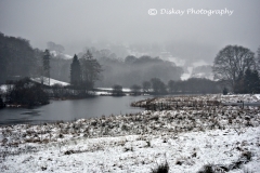 DSC_1858-Website