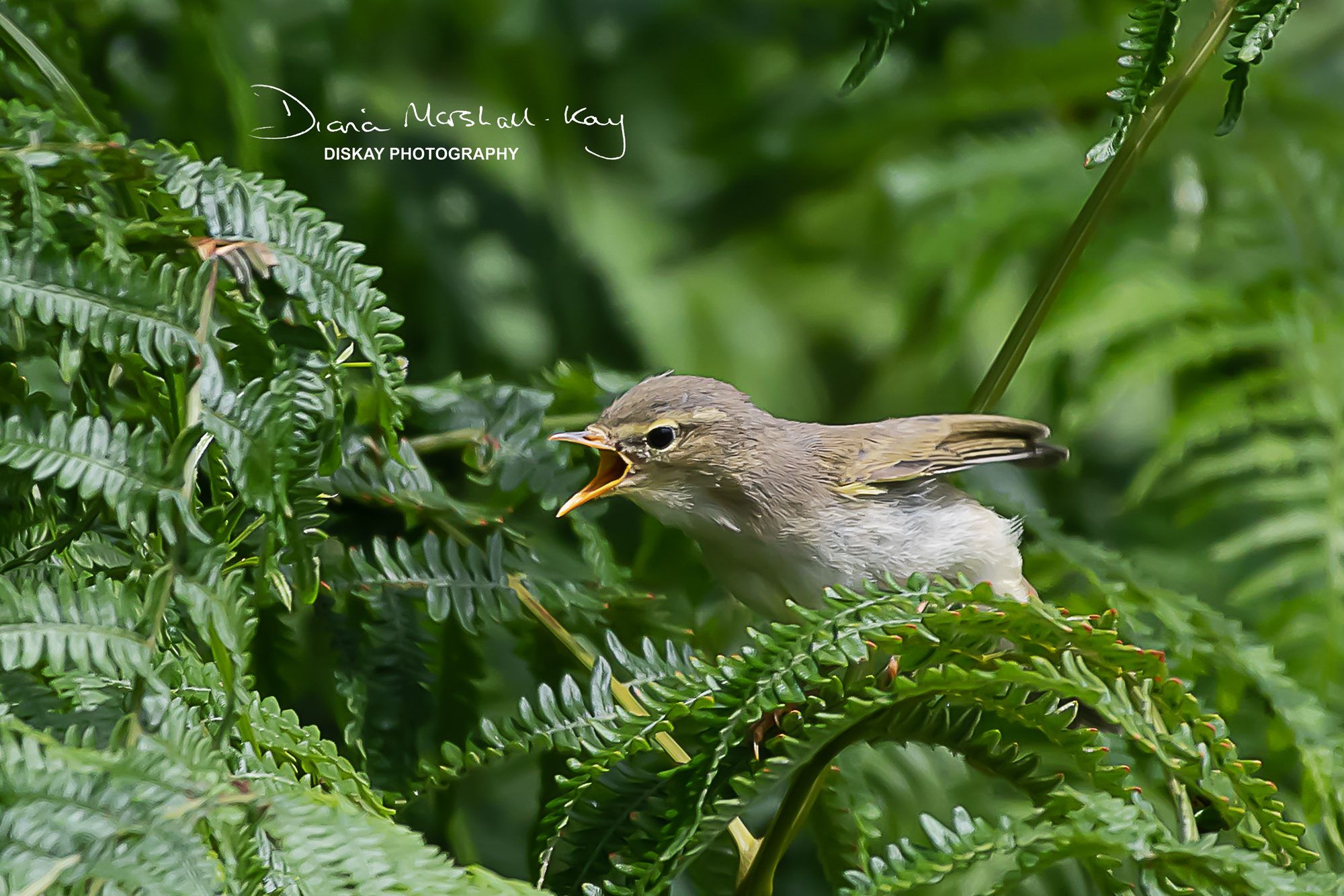 DSC_2097-Edited2-Website