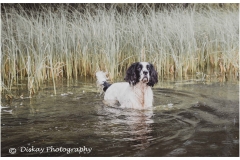 C_T_Photo-Edit-9-of-18-Website